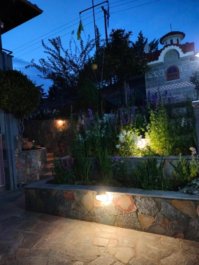 Adam's House 2019 * Karianí