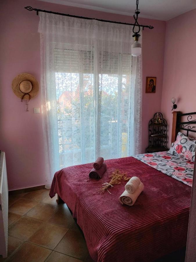 Adam's House 2019 Ferienhaus Karianí