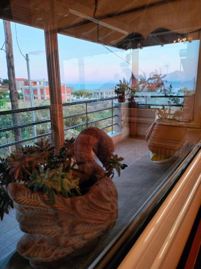 Ferienhaus Adam's House 2019