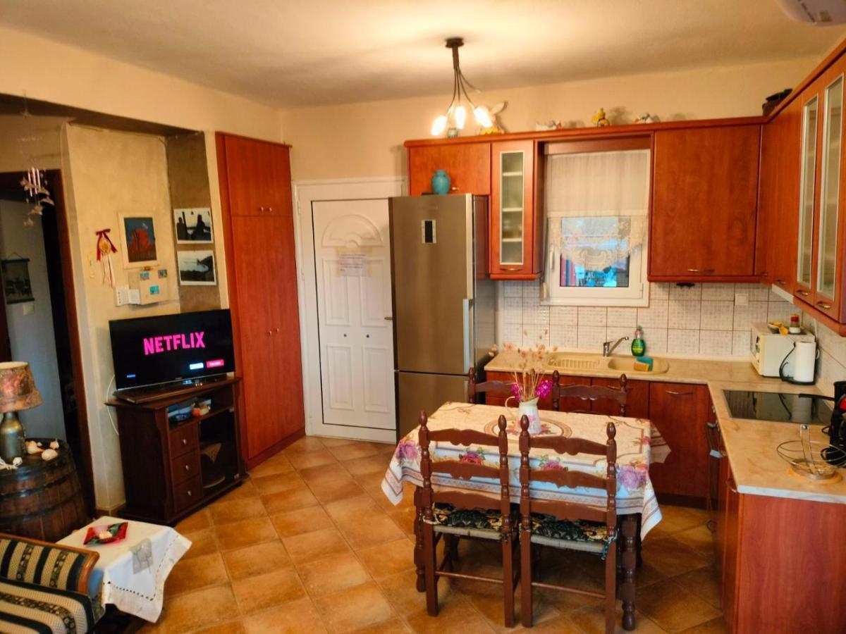 Adam's House 2019 * Karianí