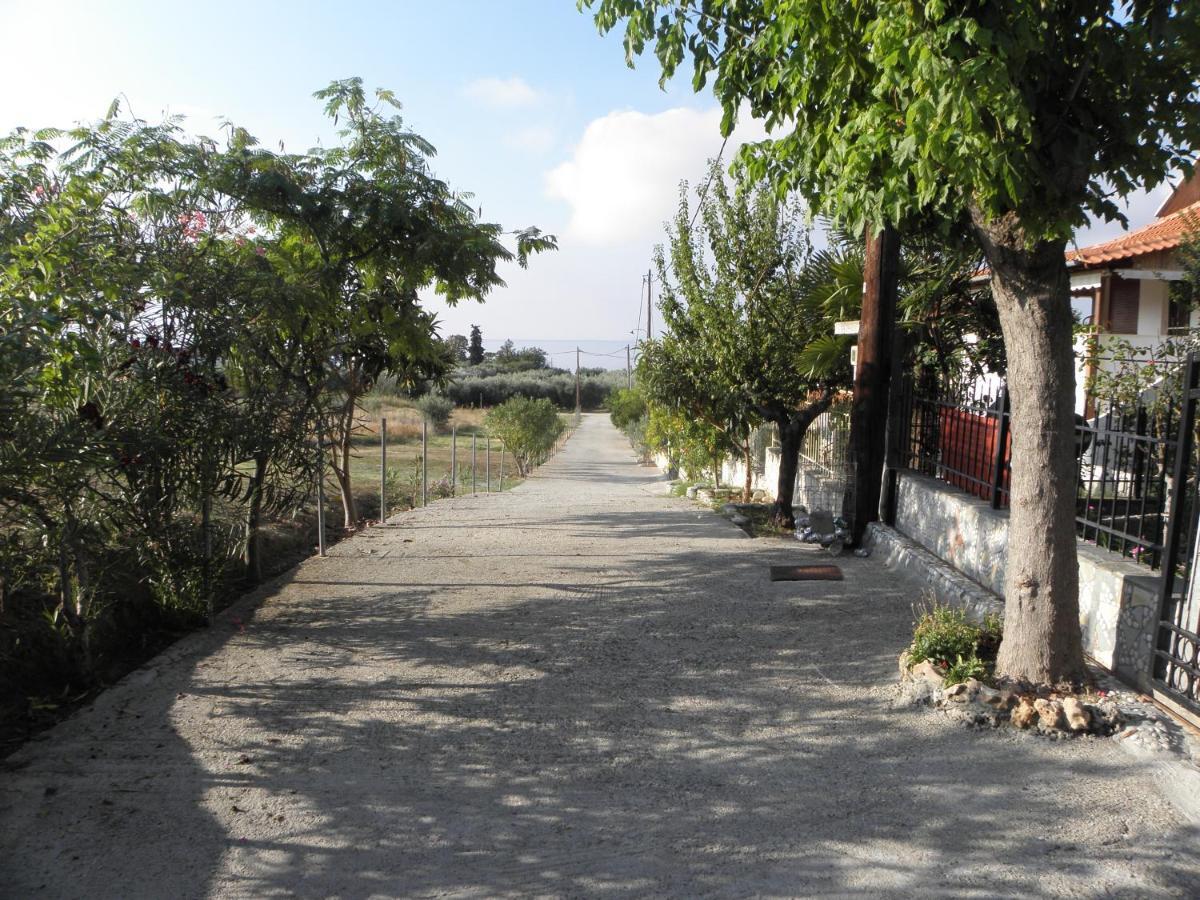 Adam's House 2019 Ferienhaus Karianí